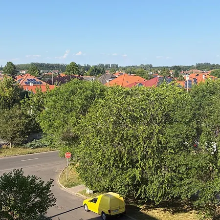 Kosbor * Nyíregyháza